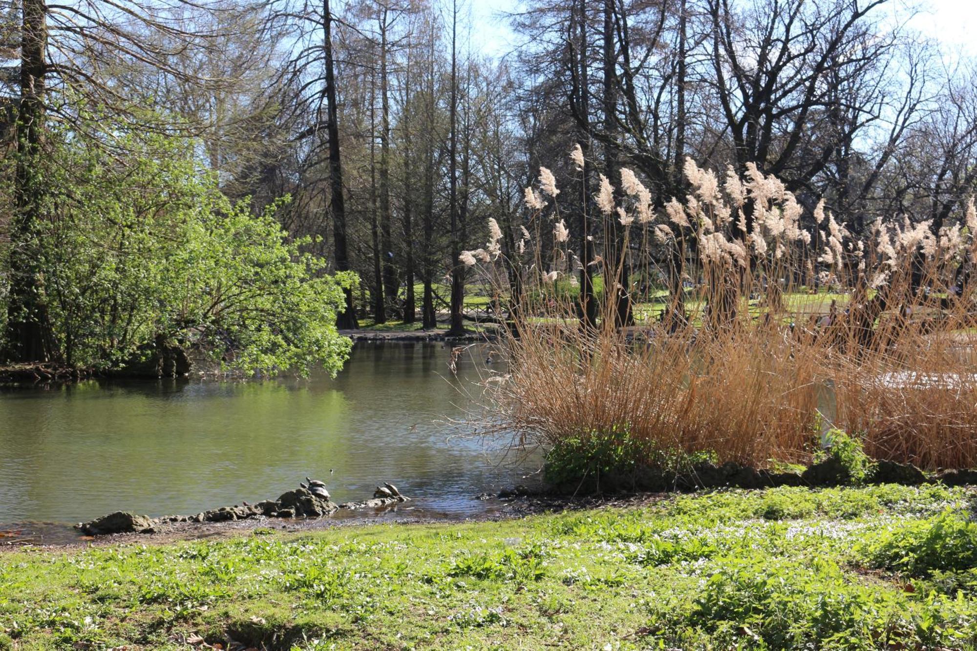 Apartamento Charming Parco - Arco Della Pace - Perfect For 5 People