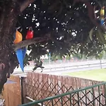 Vicino Allo Stadio Di San Siro E Alla Fiera