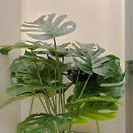 Monobo Luxury Smart Loft In Milano Porta Romana