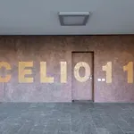 Celio, 11 - Appartamento Con Terrazzo
