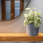 Porta Venezia-Exclusive Design Apartment-2 Rooms