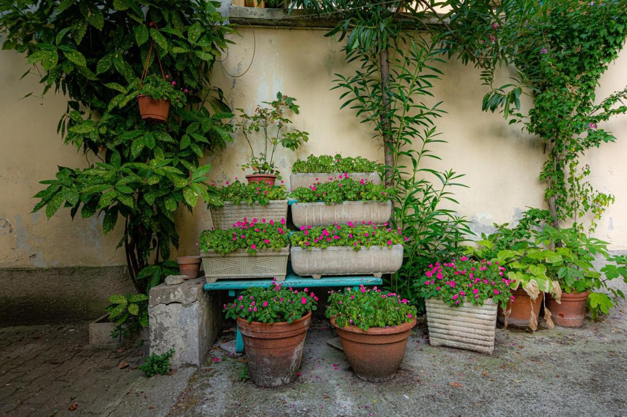 Apartamento Secret Garden In The Heart Of Isola