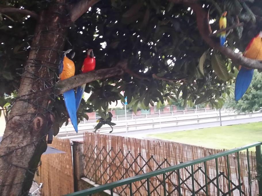Vicino Allo Stadio Di San Siro E Alla Fiera Apartment *