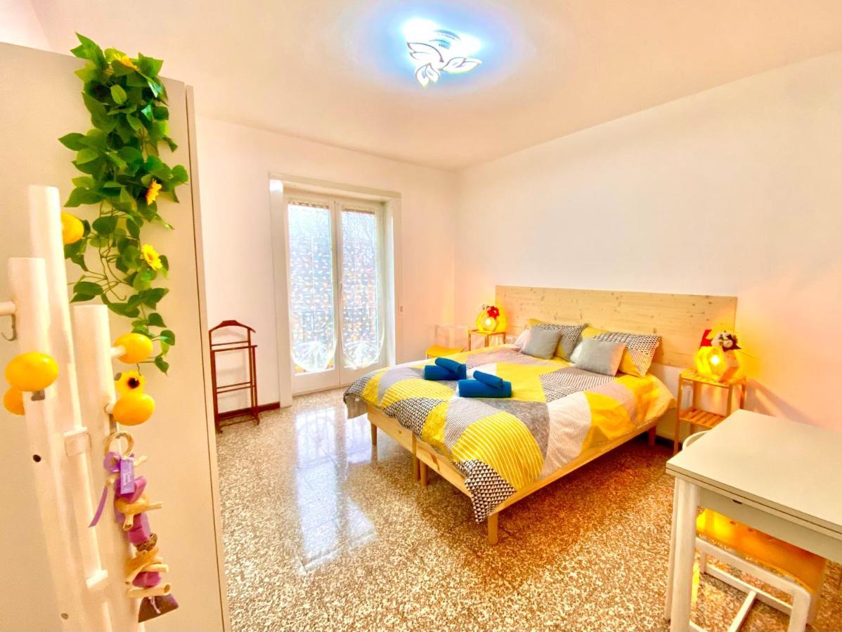 Apartment Cosy And Lovely Flat With View On Nature *