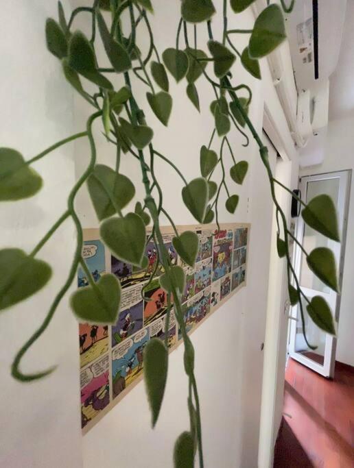 Apartment Casa - Near The Center And Public Transport *