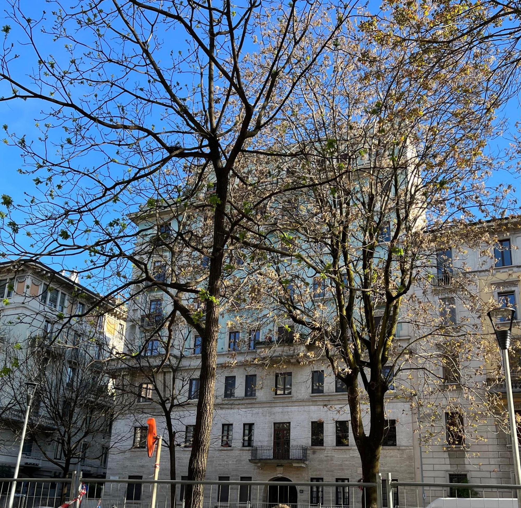 Apartment La Mailand