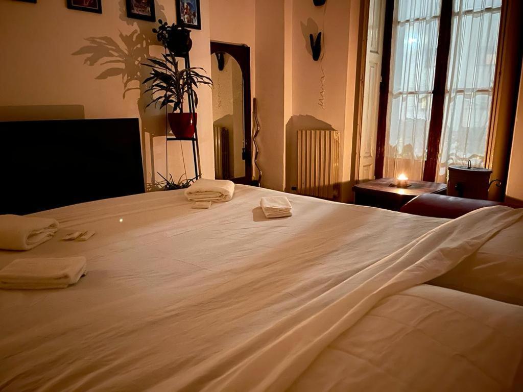 Hospedagem domiciliar La Stanza Della Giungla