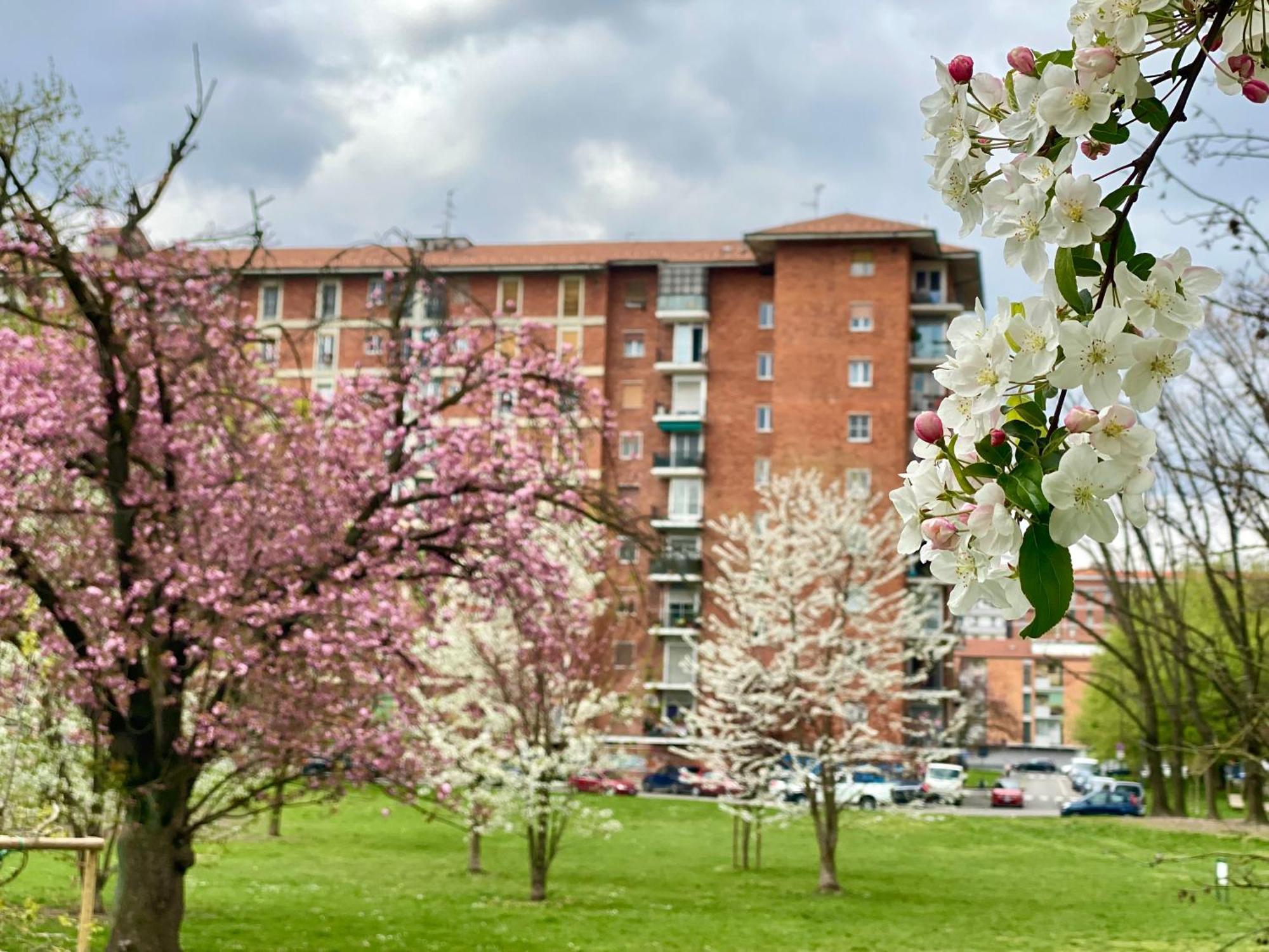 Apartment Cosy And Lovely Flat With View On Nature *
