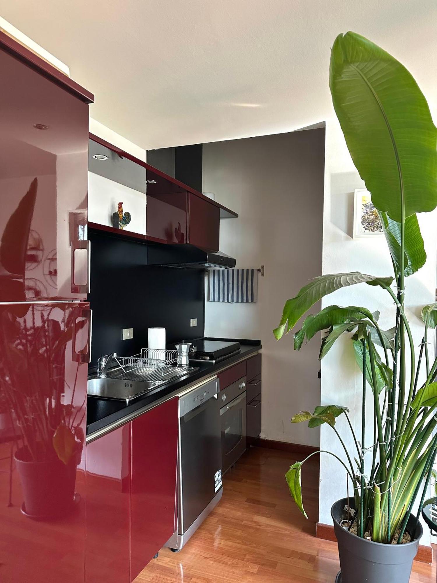 Apartment Urban Jungle - Attico Vista Duomo *