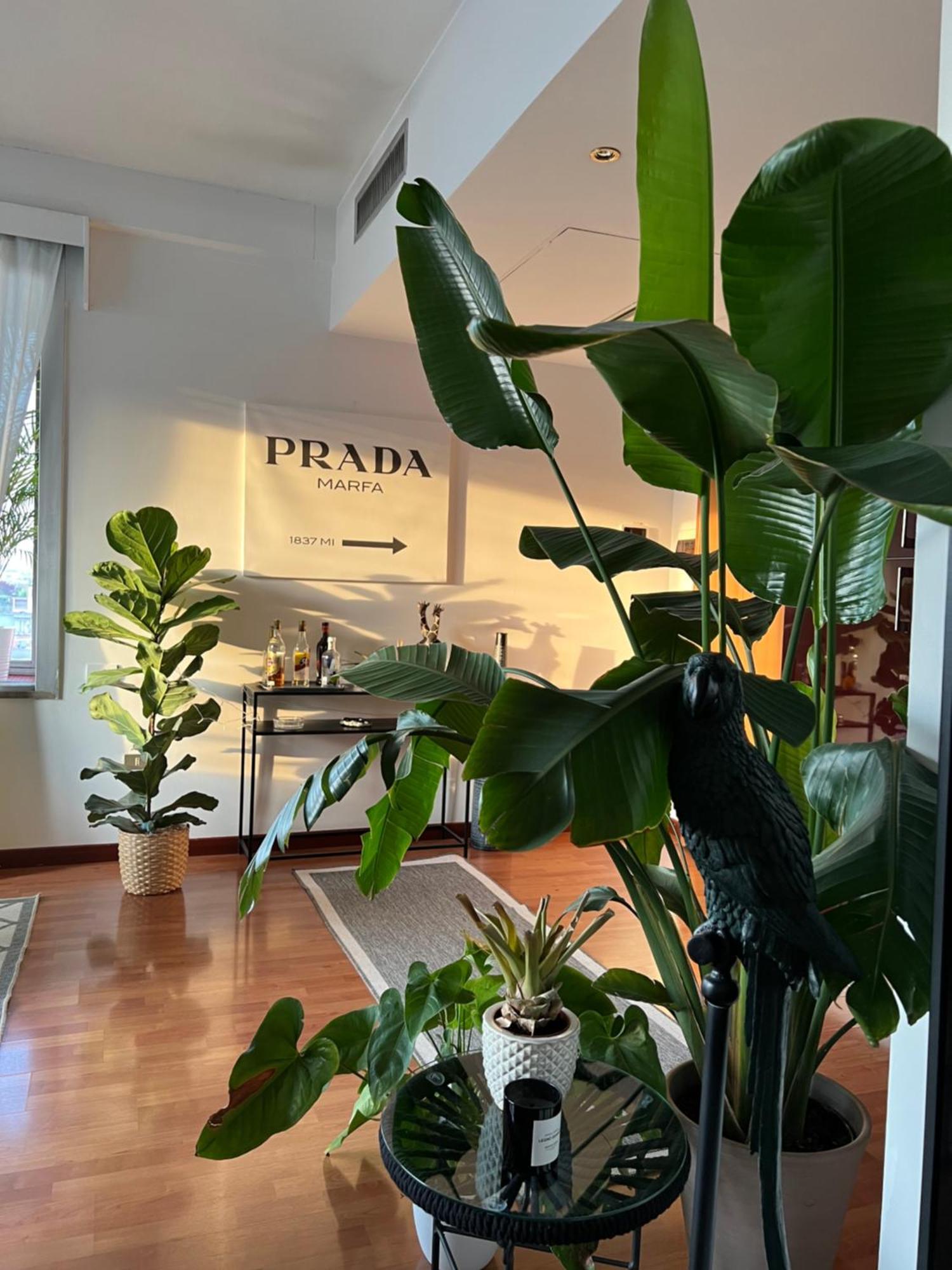 Apartment Urban Jungle - Attico Vista Duomo *
