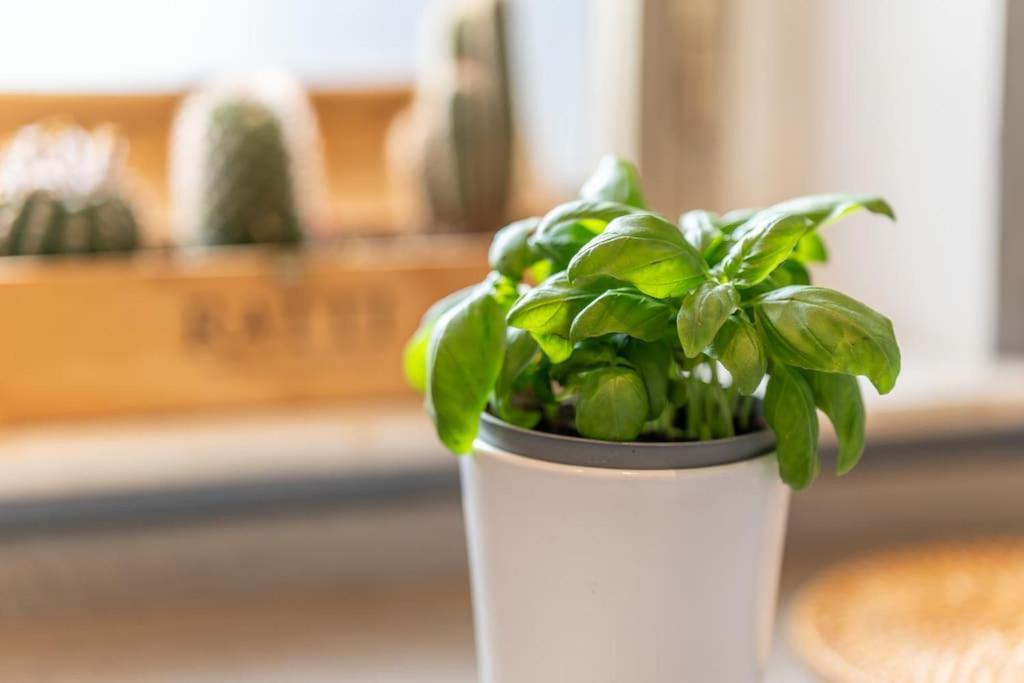 Apartamento Luxury In Navigli
