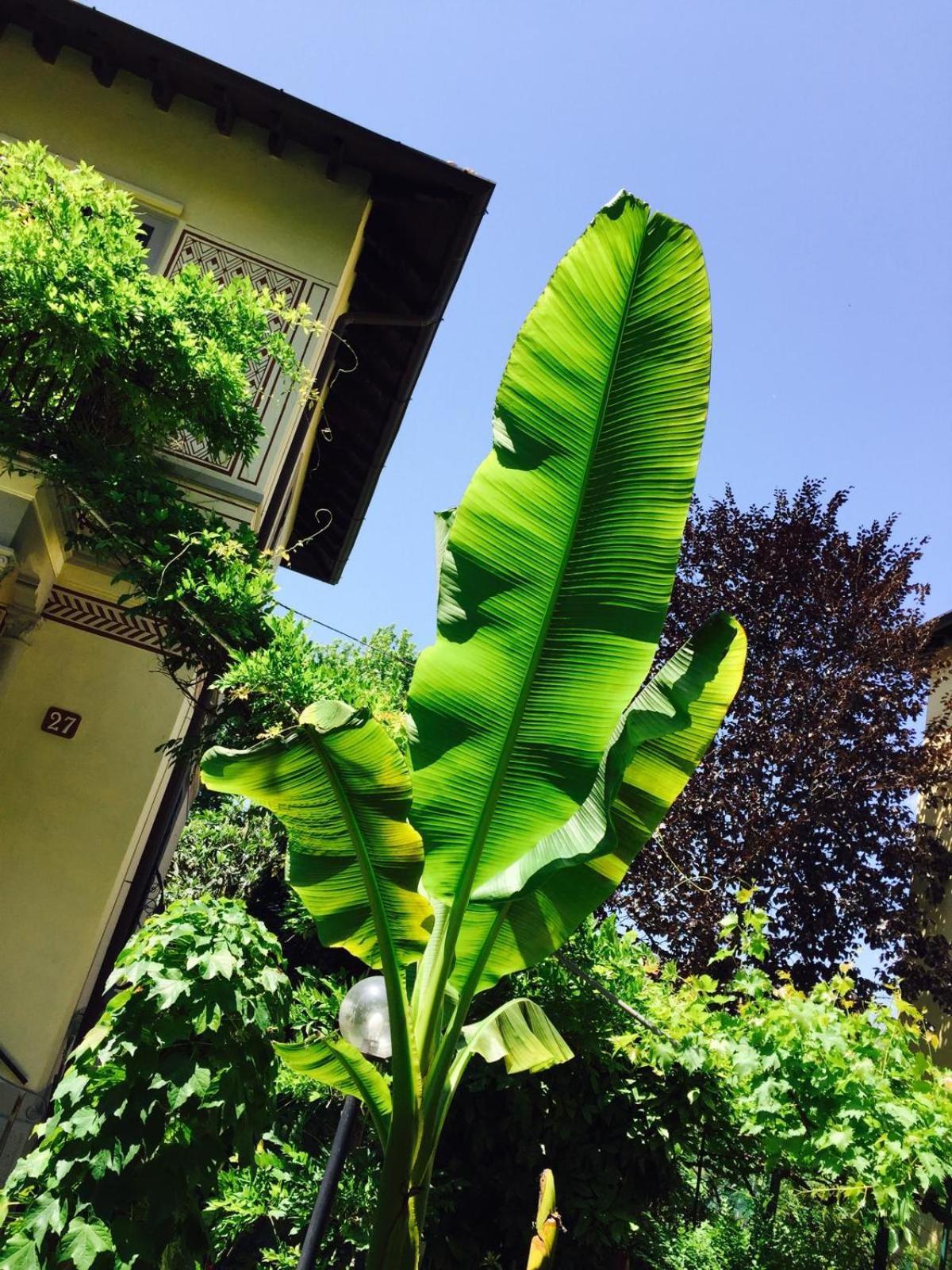 Apartment Bilocale Chic In Tropical A Due Passi Da Stazione *