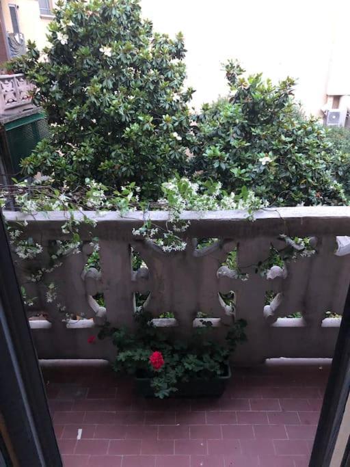 Apartamento Cozy In Milão