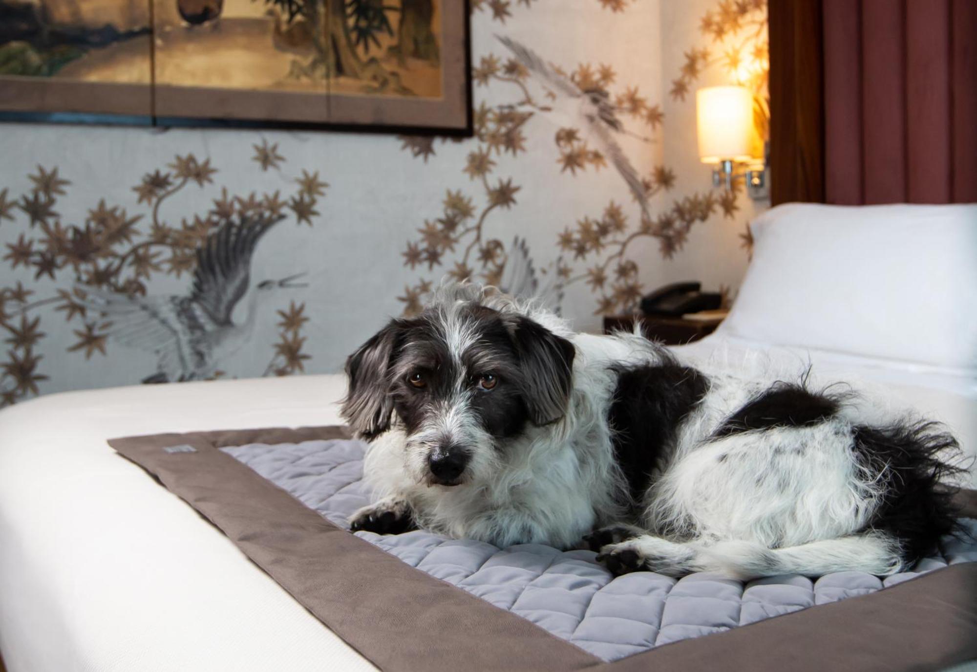 Enterprise Design & Boutique Hotel