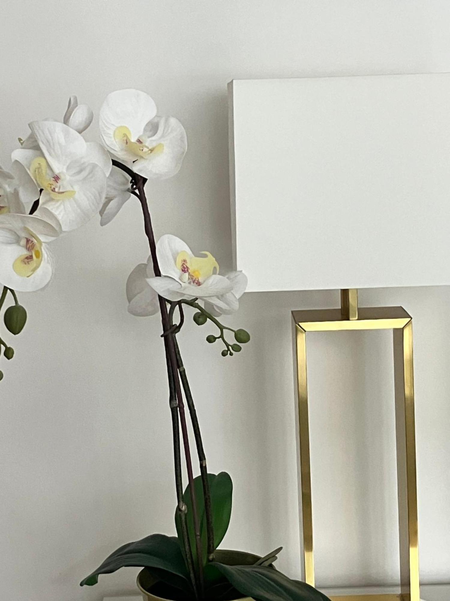Bibi Pied A Terre Vetra Apartamento *
