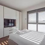 Luxury Apartment Near Linate Quintiliano 7