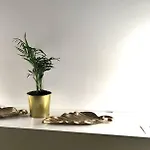 Darshanhome Milano Gambara