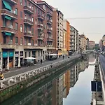 Green Duckling On The Canal