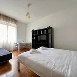 Big Urban Nest