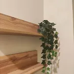 La Casa Di Antonia