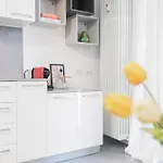 114 - Amazing Flat Fully Furnished In P.Ta Romana