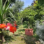 Room With A Garden