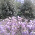 B&B La Villetta