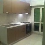 Luxury Apartment