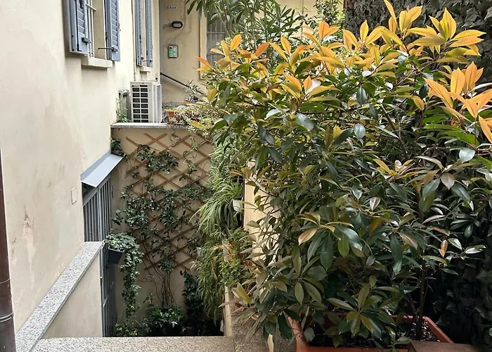 Pola\'S House
