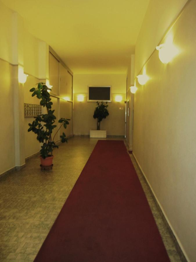 Star Albergue *