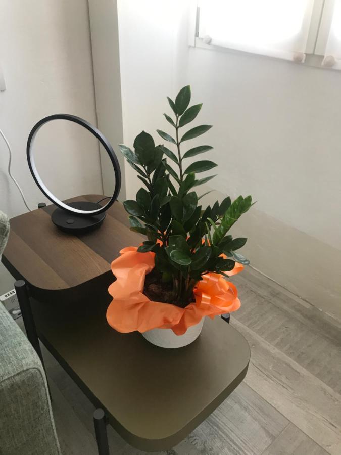 Studio 18 Apartment *