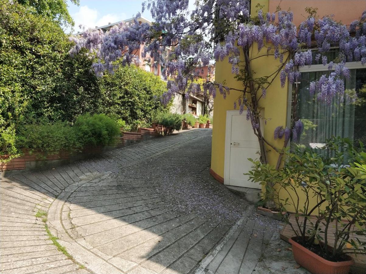 Loft Sottolalbero