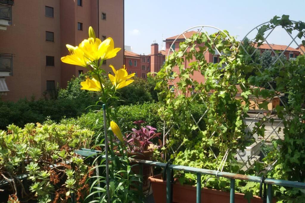 Bright & Cozy With Balcony Gasthof *