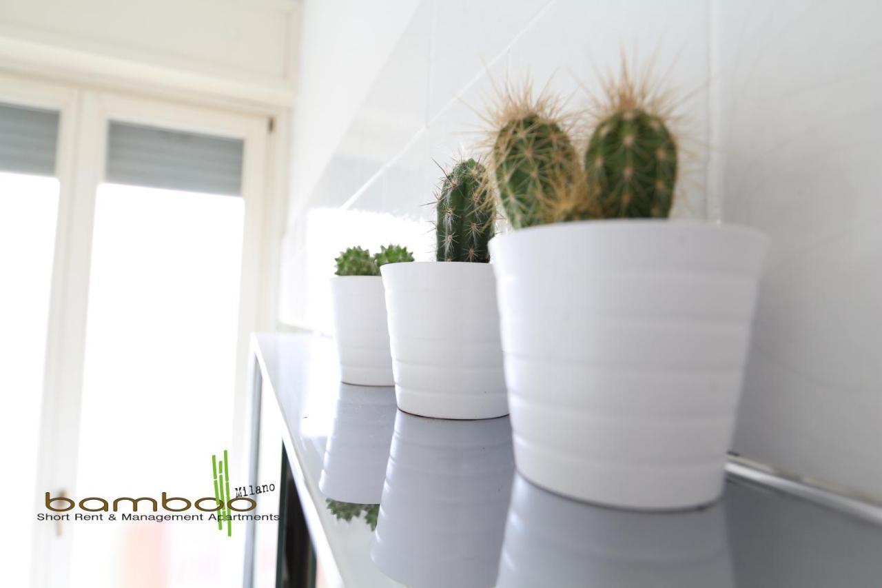Apartment Bamboo Papiniano Loft