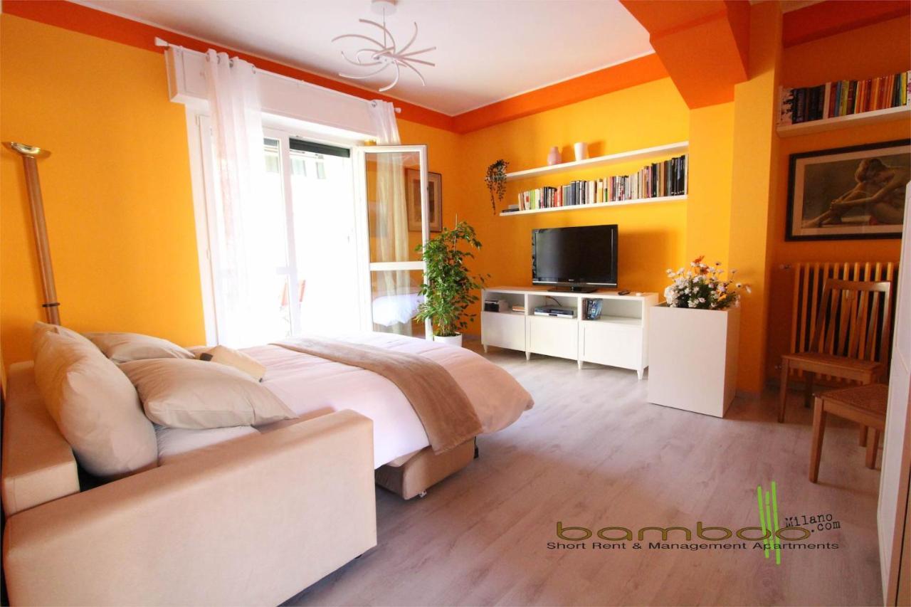 Bamboo Ebro