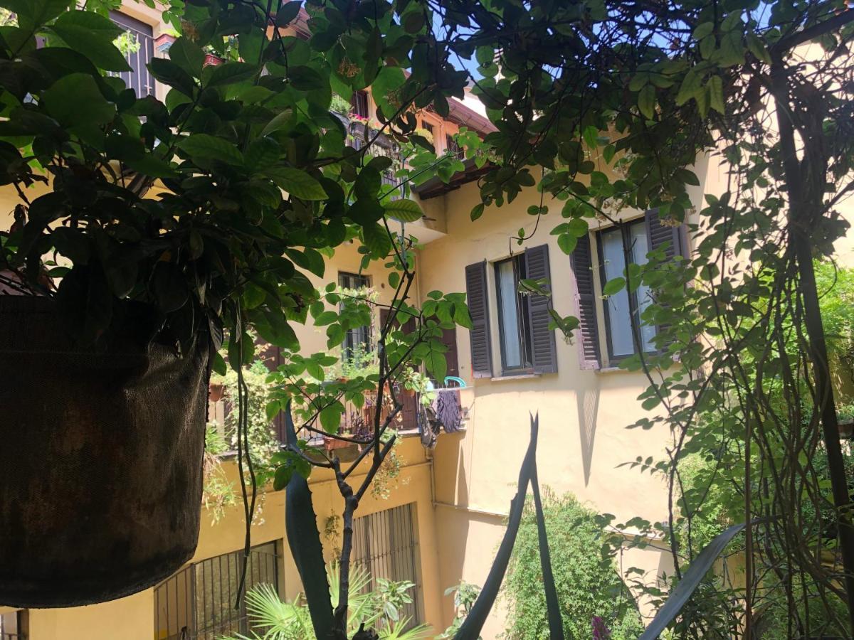Apartment Il Tetto Fiorito Dell'isola