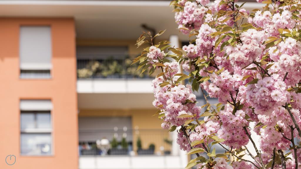 Italianway - Marcantonio Apartment Mailand