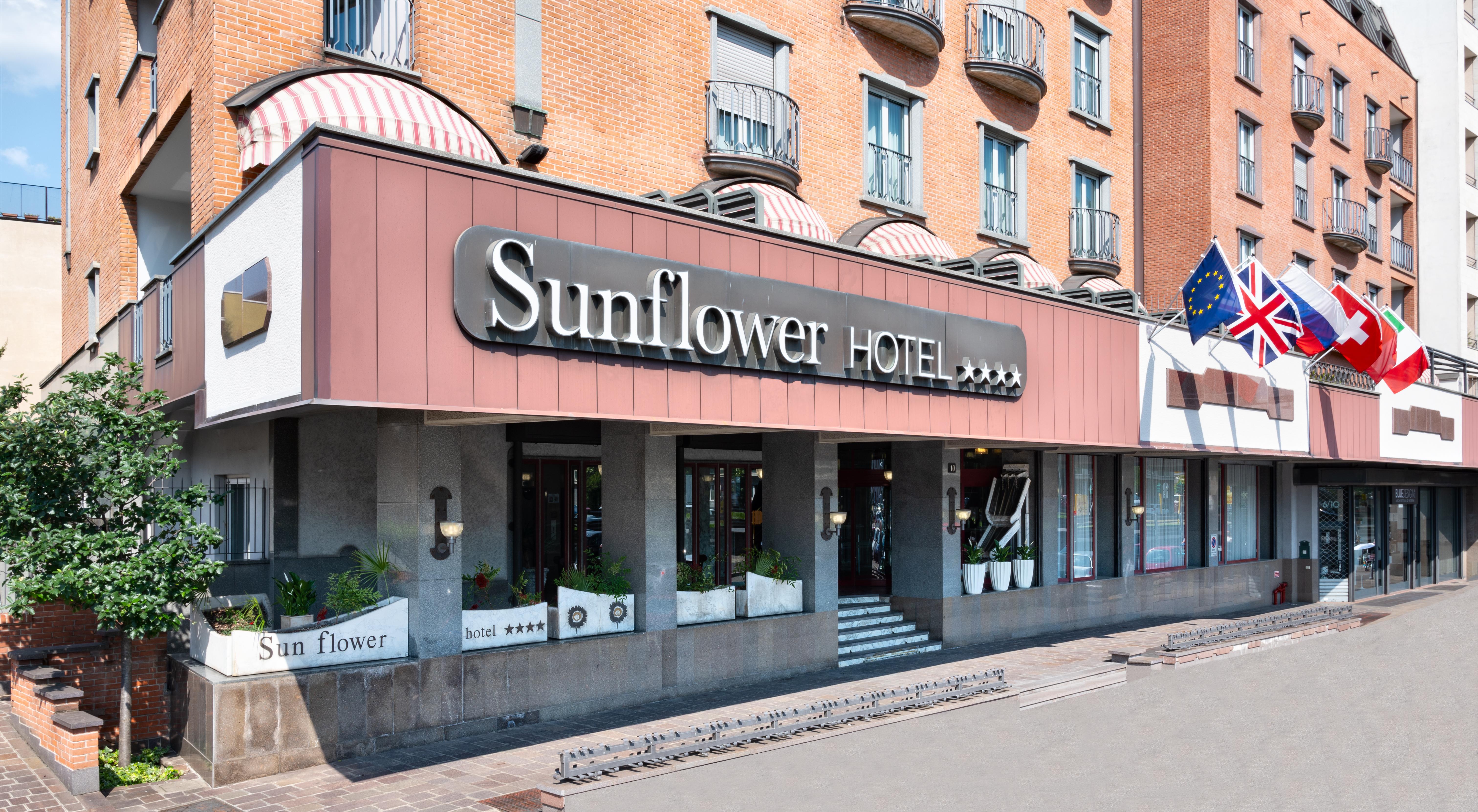 Sunflower Milan