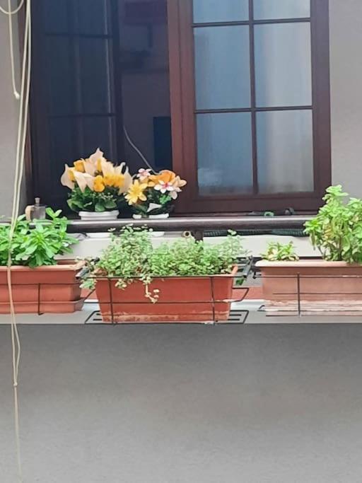 Apartamento N&ghomesweethome Raffaelloelegante Ideale Affari