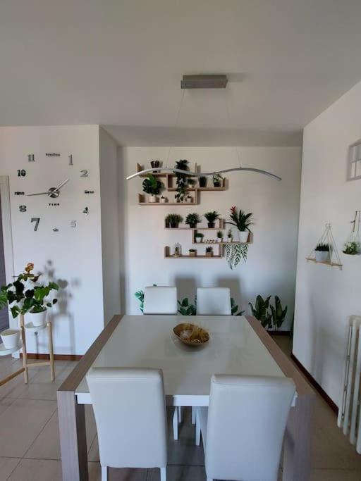 Color House - Bellissimo Panoramico In Zona Niguarda Apartment Mailand