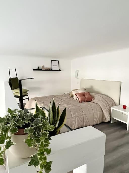 Aura Pacinotti Loft Apartment
