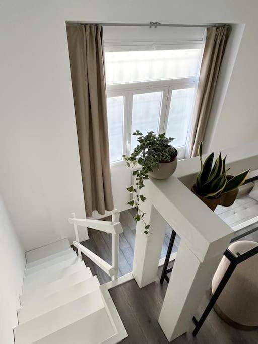 Aura Pacinotti Loft *