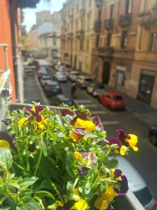 Apartment Mini Sarpi