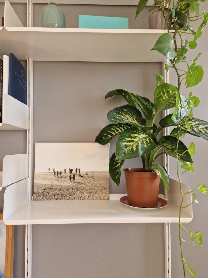 Modern Bright And Central *