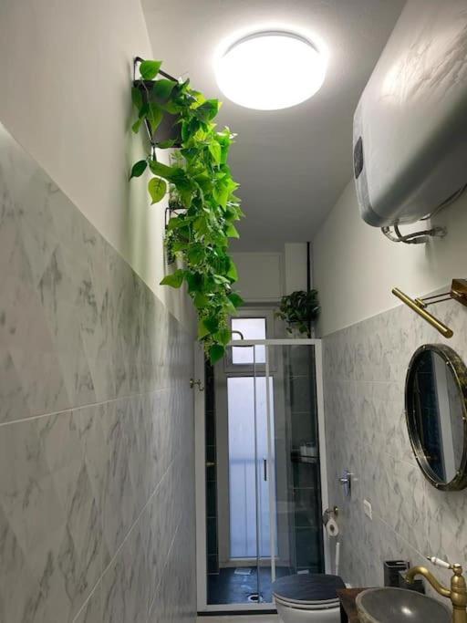 Leo's Corner In Apartment *