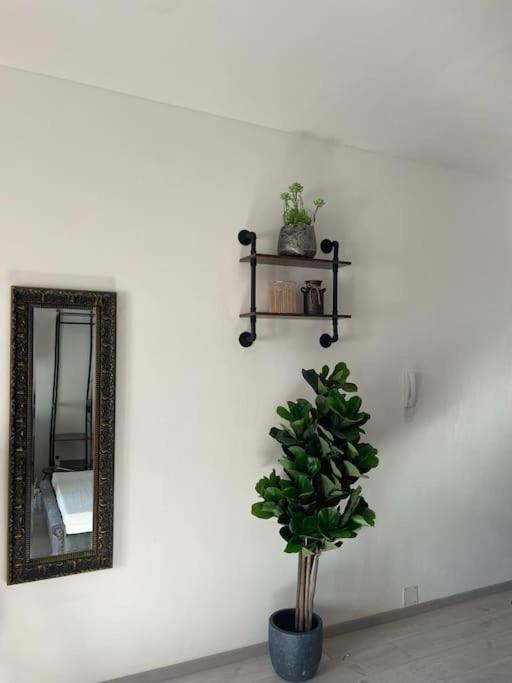 Leo's Corner In Apartment *