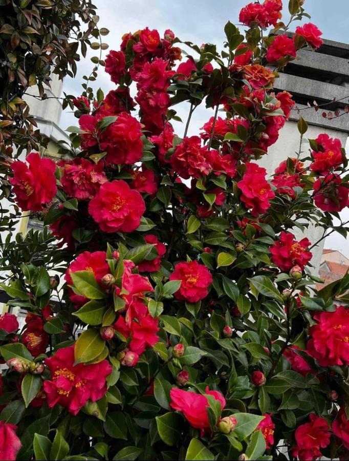 Giresio 41 - Your Penthouse With Rooftop Garden In Navigli - Wifi Apartamento