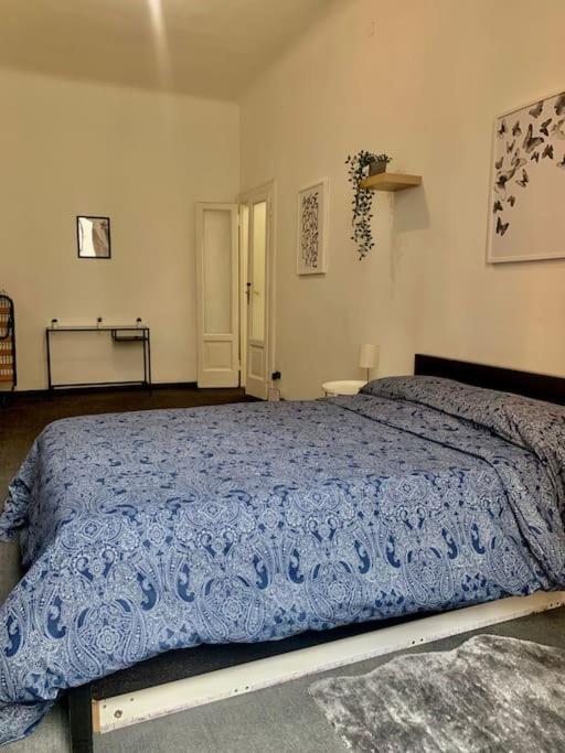 Apartment In The Center Of / P.ta Venezia