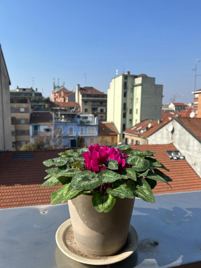 - Citta Studi Apartamento *
