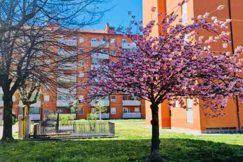 Apartment Fk House